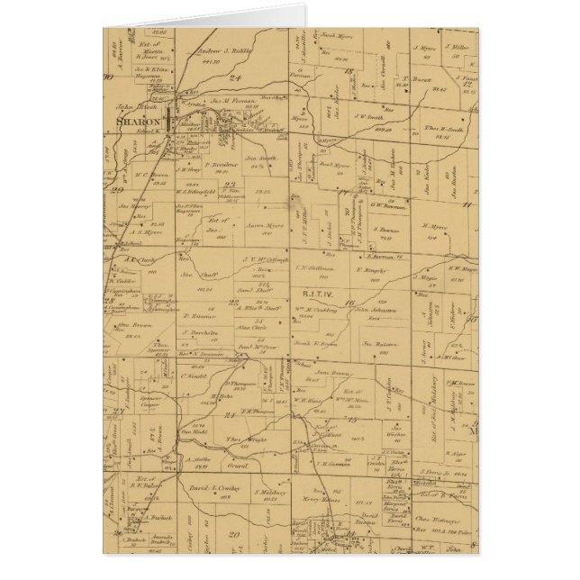 オハイオ·シカモレ (正面)