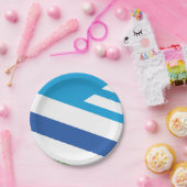 オハイオ・デイトン州旗 ペーパープレート (パーティー)