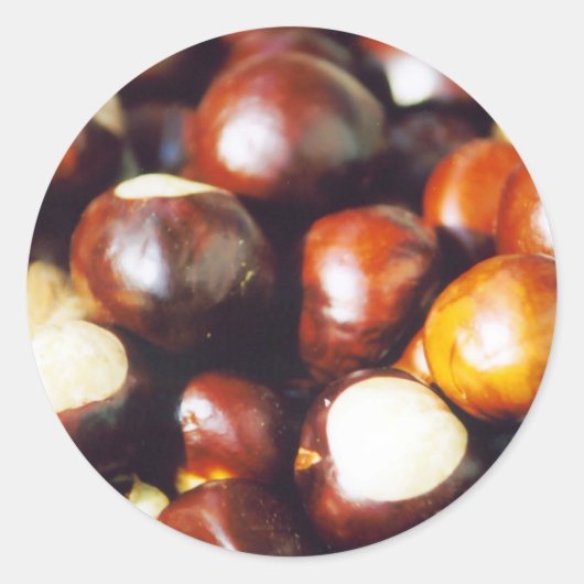 オハイオ・バケイス ラウンドシール (正面)