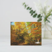 オハイオ、私と一緒に歩く ポストカード (スタンド正面)