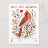 オハイオ（鳥）ショウジョウコウカンチョウの北の鳥 ポストカード (正面)