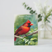 オハイオ(鳥)ショウジョウコウカンチョウの北州の鳥はがき ポストカード (スタンド正面)