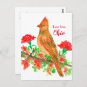 オハイオ（鳥）ショウジョウコウカンチョウの女性の鳥の愛 ポストカード (正面/裏面)