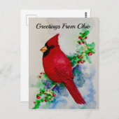 オハイオ（鳥）ショウジョウコウカンチョウ州バードベリー水彩 ポストカード (正面/裏面)