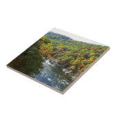 オハイピルリバーイン秋IIペンシルバニア秋 タイル (側面)