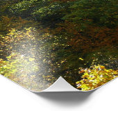 オハイピルリバーイン秋IIペンシルバニア秋 フォトプリント            (角)