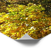 オハイピルリバーイン秋IIペンシルバニア秋 ポスター (角)