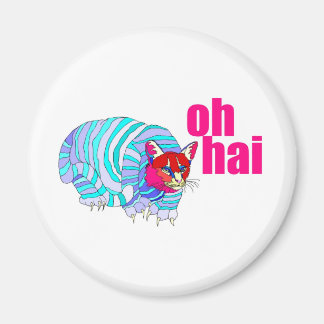 オハイマグネット マグネット