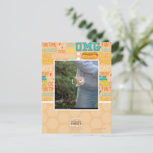 オハイ ポストカード (スタンド正面)