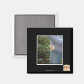 オハイ マグネット (正面/裏面)