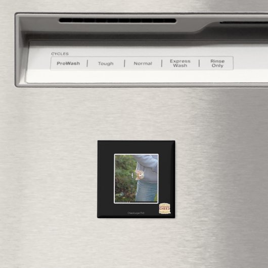 オハイ マグネット (インサイチュ (食洗機))