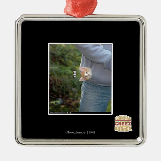 オハイ メタルオーナメント (正面)