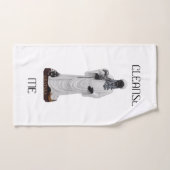 オバタラ洗浄体/ ハンドタオル (ハンドタオル)