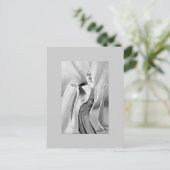 オバタラ スワール ポストカード (スタンド正面)