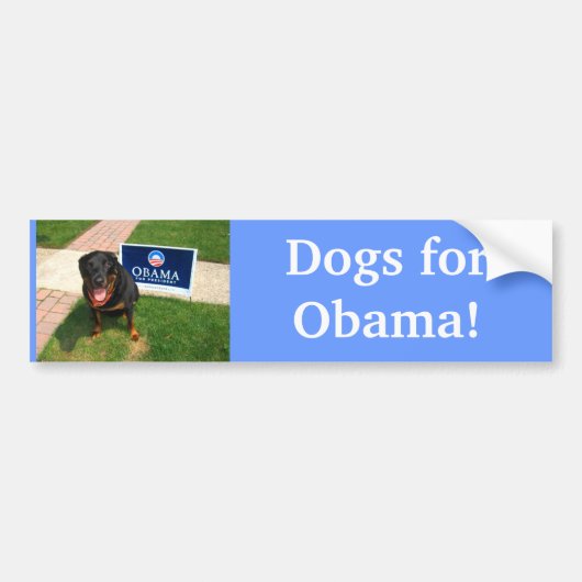 オバマのための犬! バンパーステッカー (正面)