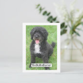 オバマペット/ポルトガルの水犬 ポストカード (スタンド正面)