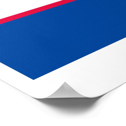 オバマ前倒し ポスター (角)