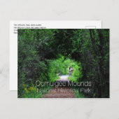 オパロファトレイル、オクムルジの丘、GA ポストカード (正面/裏面)