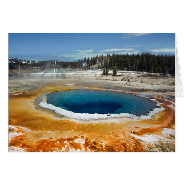 オパールのプール (正面横)