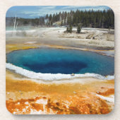 オパールのプール コースター (正面)