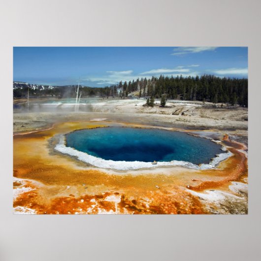 オパールプール ポスター (正面)