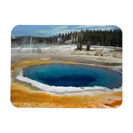 オパールプール マグネット (横)