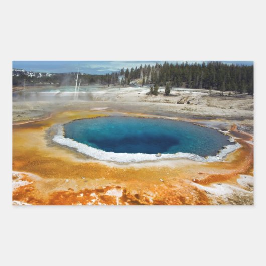 オパールプール 長方形シール (正面)