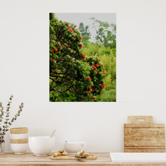 オヒアレフア ポスター (キッチン)