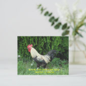 オビエドの鶏の郵便はがき ポストカード (スタンド正面)