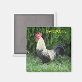 オビエドシック磁石 マグネット (正面/裏面)