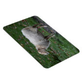 オビス諸島 マグネット (右側)