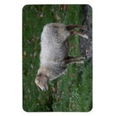 オビス諸島 マグネット (縦)