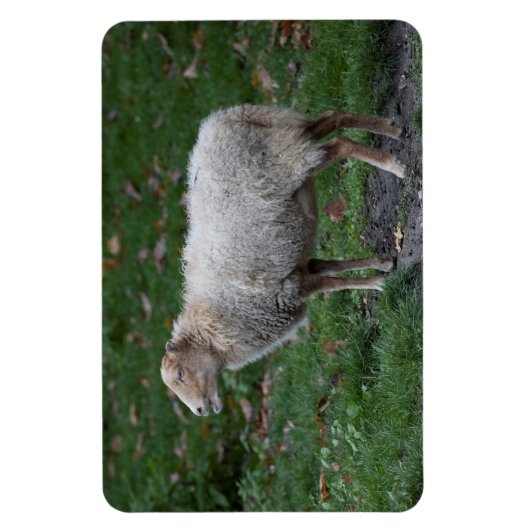 オビス諸島 マグネット (縦)