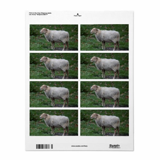 オビス諸島 ラベル (フルシート)