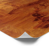 オビディルードアウトローマ ポスター (角)