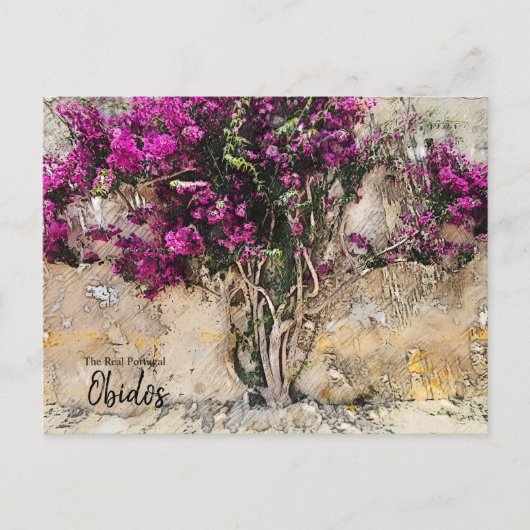 オビドスカラーズポルトガル ポストカード (正面)