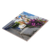 オビドス，ポルトガル タイル (側面)