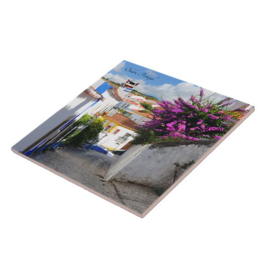 オビドス,ポルトガル タイル (側面)