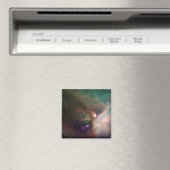 オピウチ星雲 マグネット (インサイチュ (食洗機))