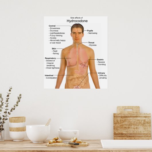 オピオイド・ハイドロコドンの副作用の表 ポスター (キッチン)