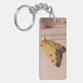 オフィウサ・ティラハカ、緑のドラブ キーホルダー (正面左)