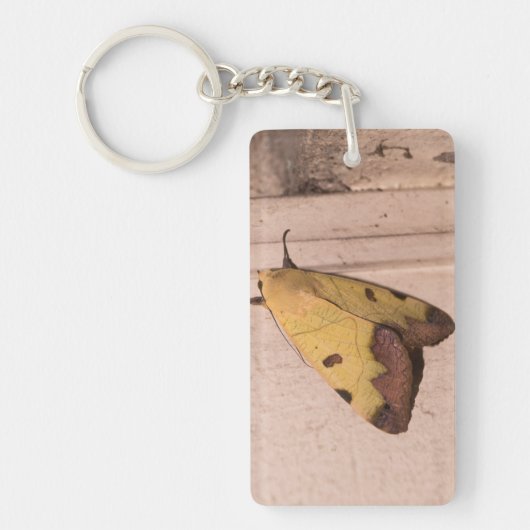 オフィウサ・ティラハカ、緑のドラブ キーホルダー (正面)