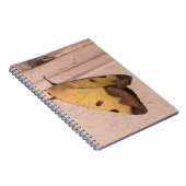 オフィウサ・ティラハカ、緑のドラブ ノートブック (右側)