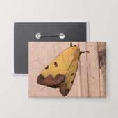 オフィウサ・ティラハカ、緑のドラブ 缶バッジ (正面/裏面)