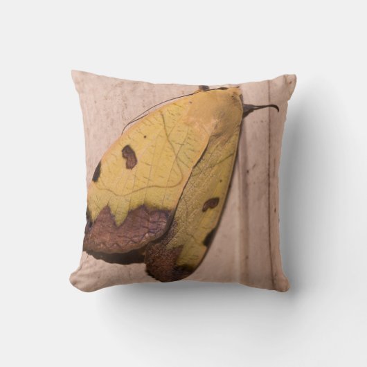 オフィウサ・ティルハカ（緑のくすんだ色のもの） クッション (正面)