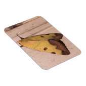 オフィウサ・ティルハカ（緑のくすんだ色のもの） マグネット (右側)