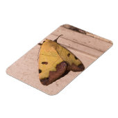 オフィウサ・ティルハカ（緑のくすんだ色のもの） マグネット (左側)