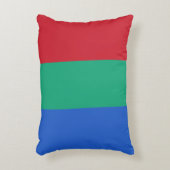 オフィシャルレッドグリーンブルー火星国旗Tricolor アクセントクッション (正面(垂直))