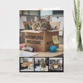 オフィスで楽しい猫の写真カード、ビジネス猫 カード (正面)