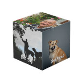 オフィス用の犬の写真ギフトアート フォトキューブ (正面アングル)